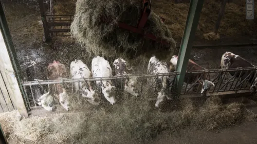 Agriculture : plus d'un millier d'emplois à temps plein perdus dans...